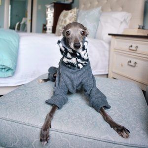 SnootsCanada Zebra Onesie